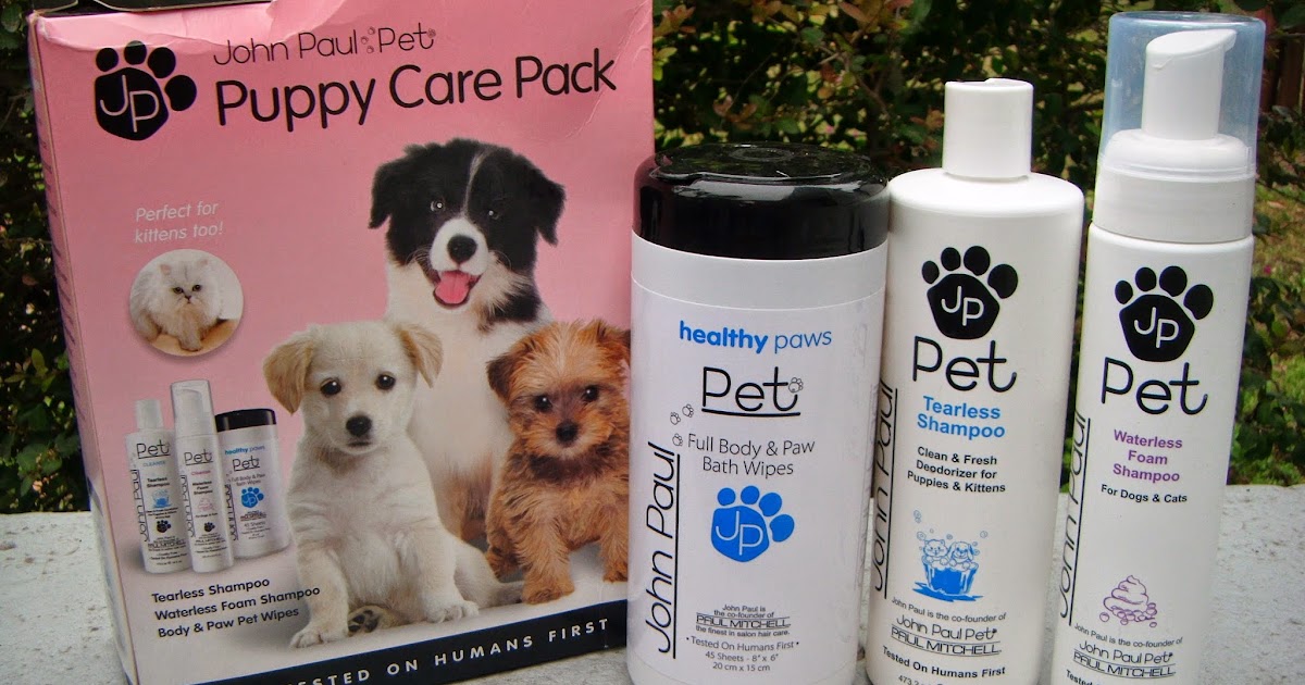 The ABCD Diaries Gentle Pet Grooming Made Easy With John Paul Pet! 